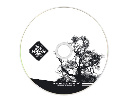 Тиражирование CD дисков (Шелкография)