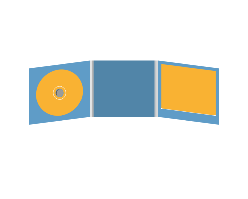 DigiFix CD 6 полос 1 спайдер (слева) с прорезью (справа)