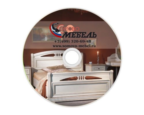 Печать на DVD-R дисках (Цифровая) 4,7 Гб